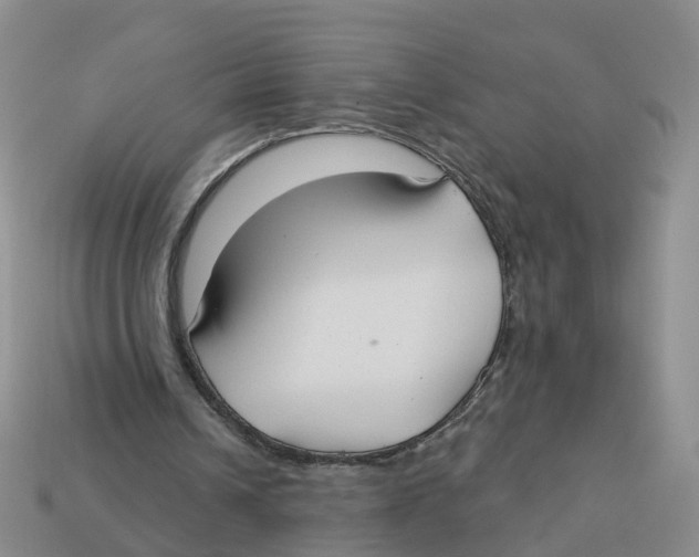 X0000113180242200910021549
