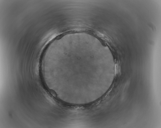 X0000113180243200910021549