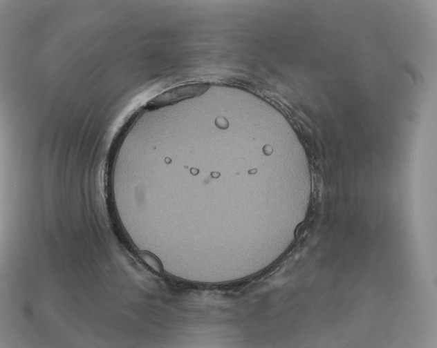X0000113180244200910021549