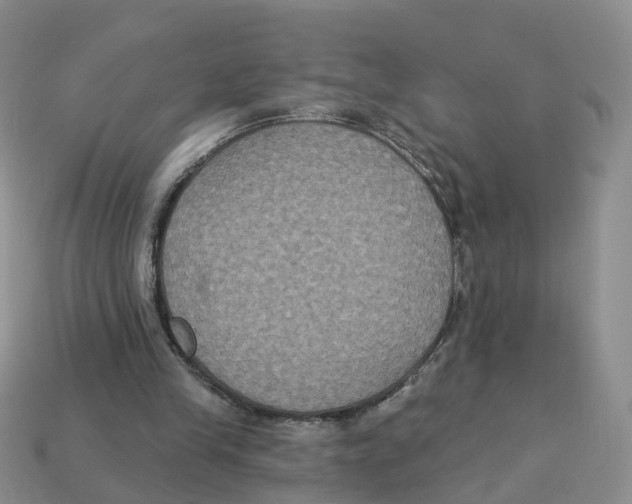 X0000113180245200910021549