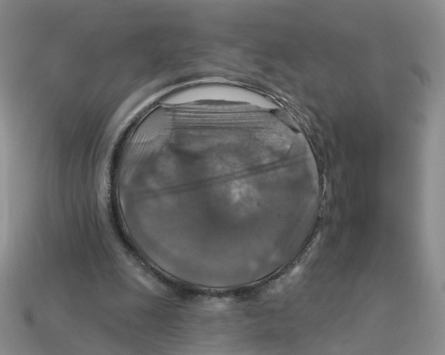 X0000113180247200910021549