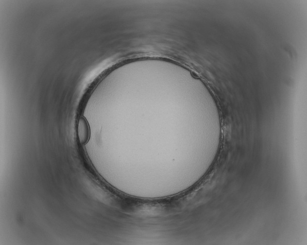 X0000113180248200910021549
