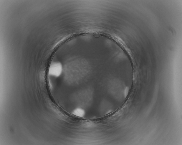 X0000113180249200910021549