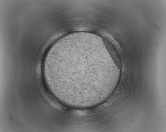 X0000113180250200910021549