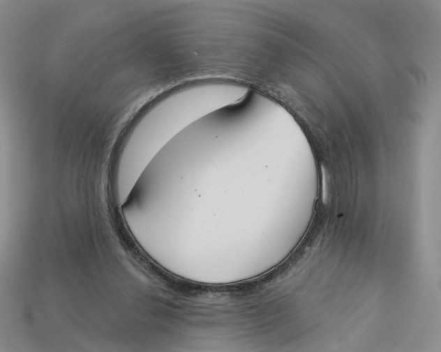 X0000113180252200910021549