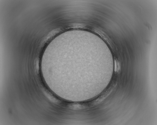X0000113180253200910021549