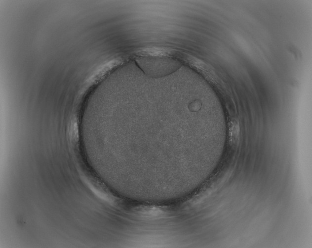 X0000113180254200910021549