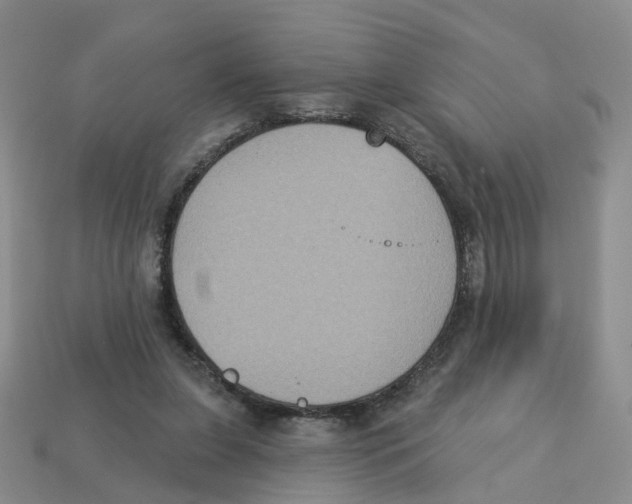X0000113180255200910021549