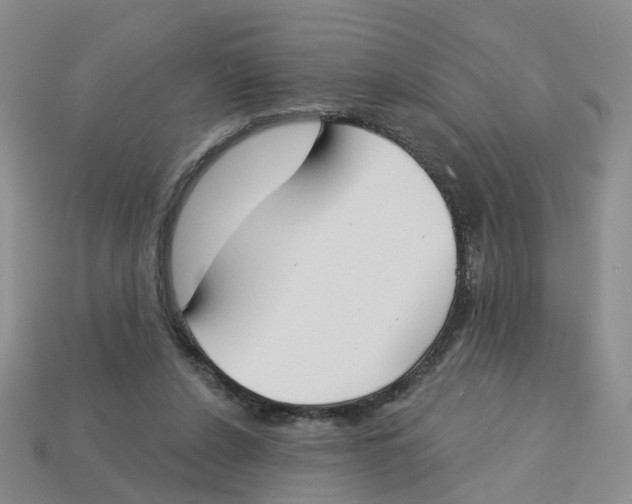 X0000113180256200910021549