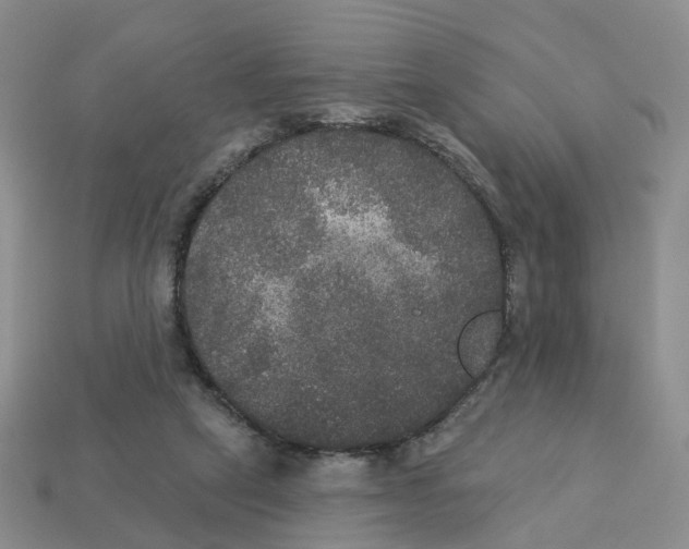 X0000113180257200910021549