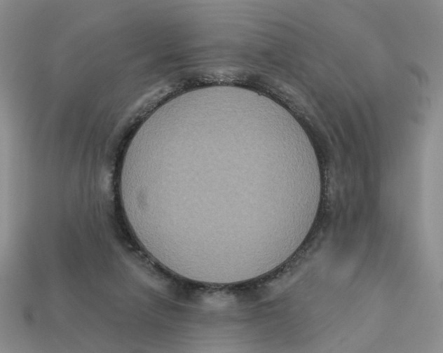 X0000113180258200910021549