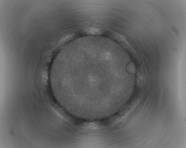 X0000113180259200910021549