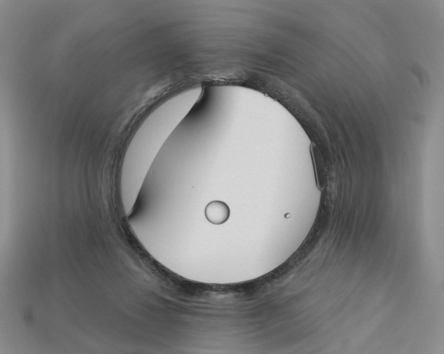 X0000113180260200910021549