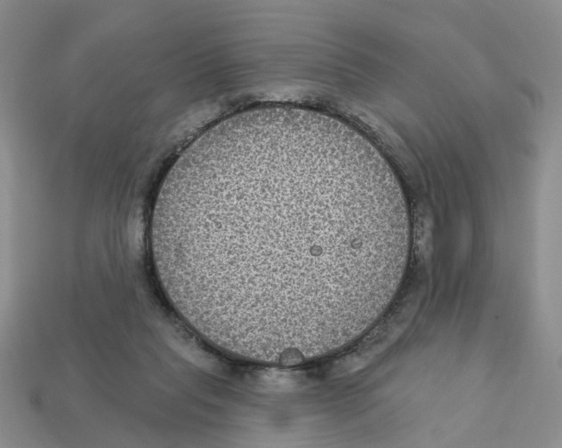 X0000113180261200910021549