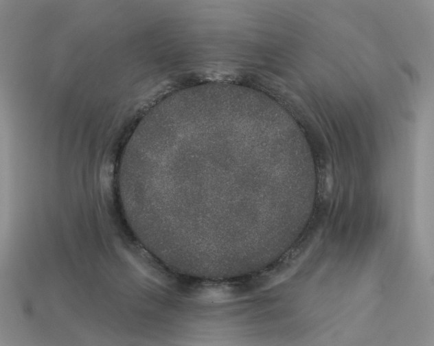X0000113180263200910021549