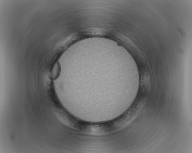 X0000113180264200910021549