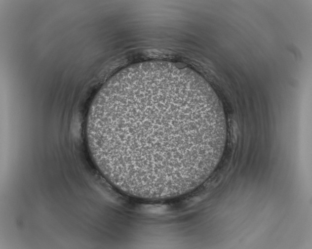 X0000113180266200910021549