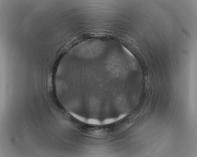 X0000113180267200910021549