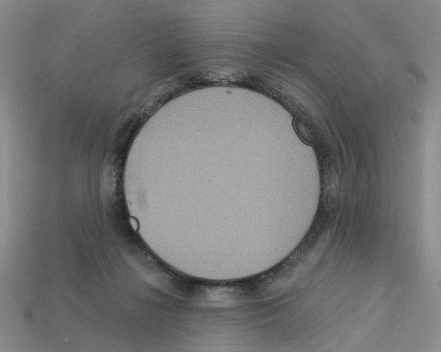 X0000113180268200910021549