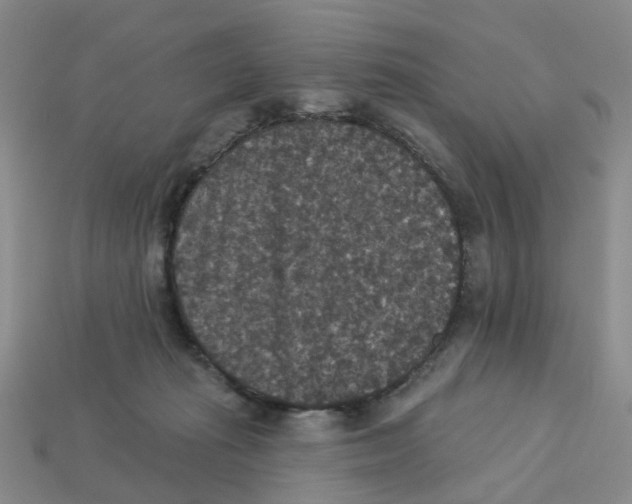 X0000113180269200910021549