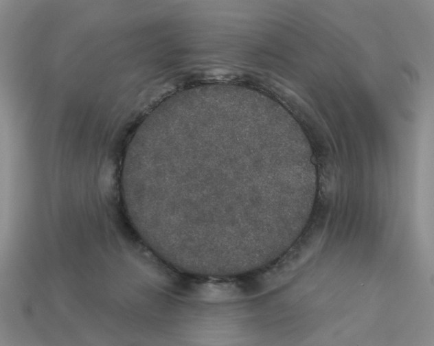 X0000113180270200910021549
