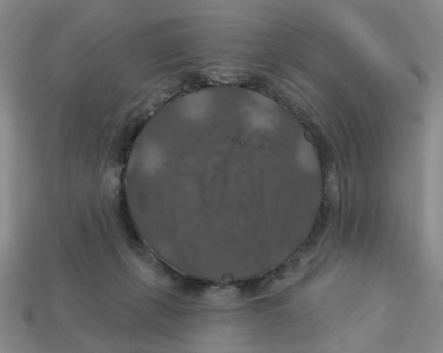X0000113180271200910021549