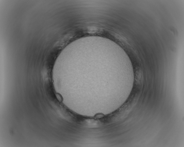 X0000113180272200910021549