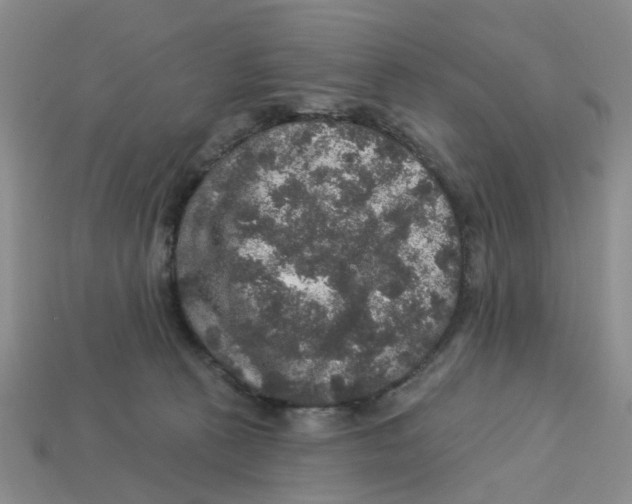 X0000113180273200910021549