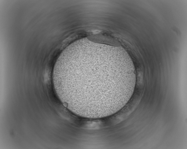 X0000113180274200910021549