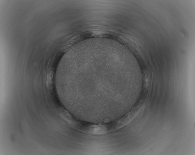 X0000113180275200910021549