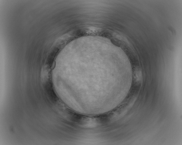 X0000113180276200910021549