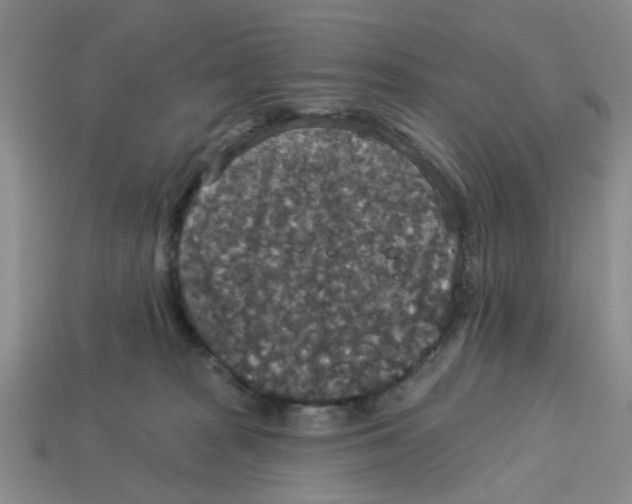 X0000113180277200910021549