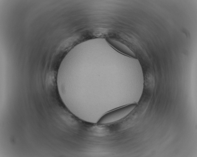 X0000113180280200910021549