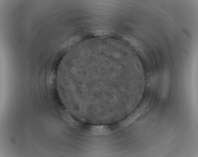 X0000113180281200910021549