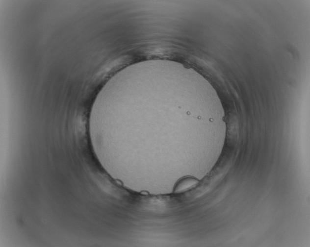 X0000113180282200910021549