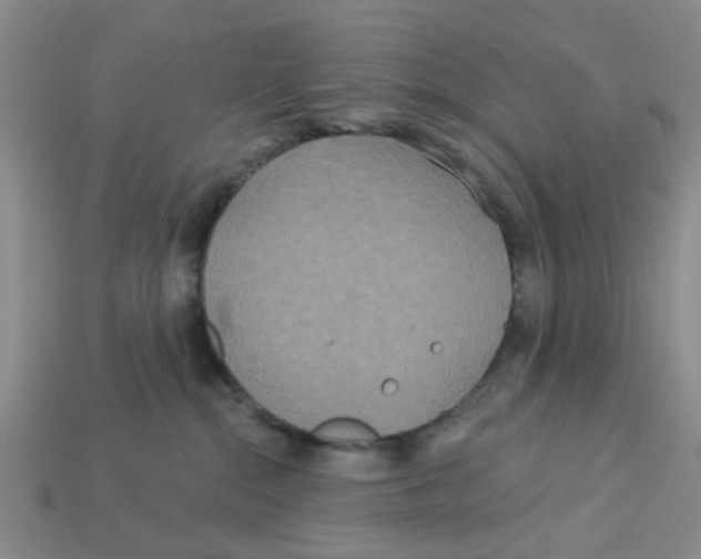 X0000113180284200910021549