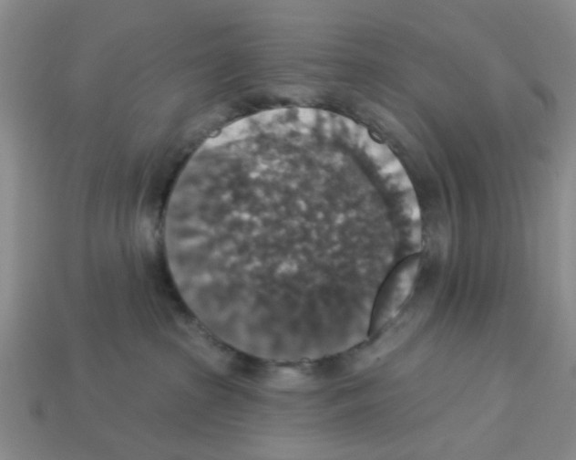 X0000113180285200910021549
