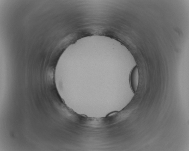 X0000113180288200910021549