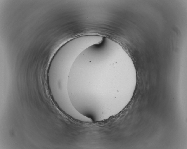 X0000113180289200910021549