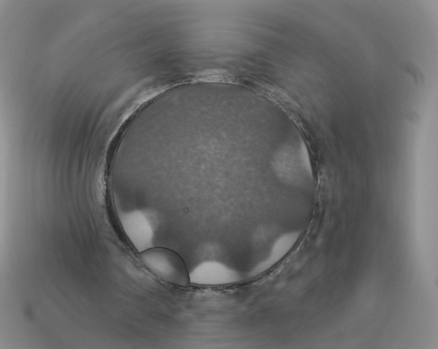 X0000113180290200910021549