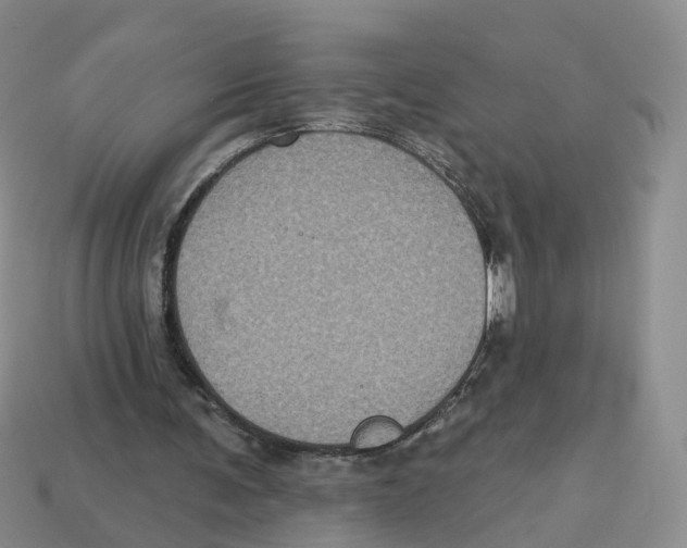 X0000113180291200910021549