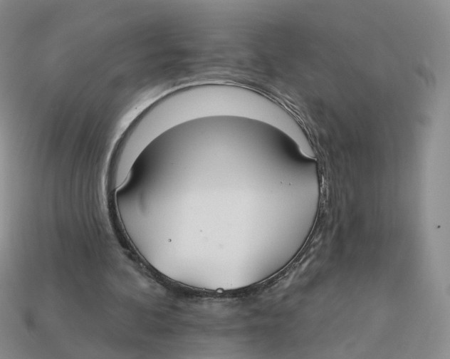 X0000113180292200910021549