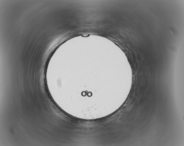 X0000113180293200910021549
