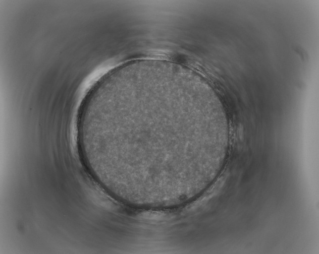 X0000113180294200910021549