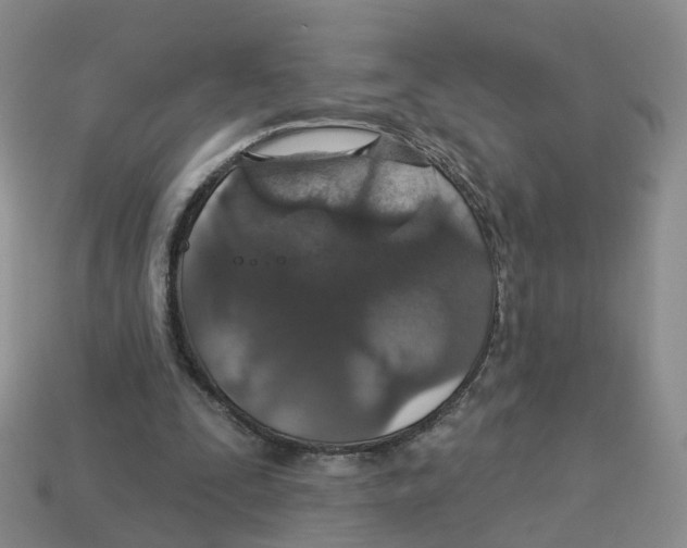 X0000113180295200910021549