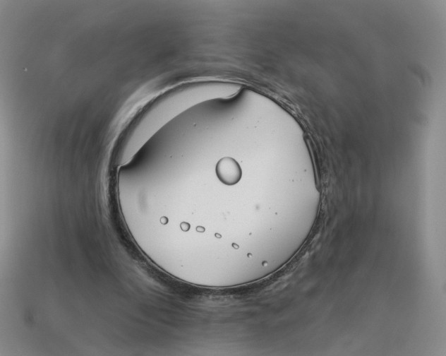 X0000113180296200910021549