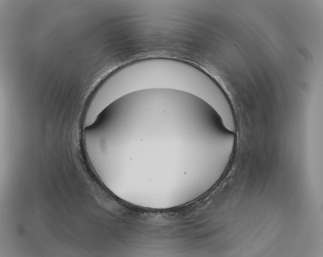 X0000113180297200910021548