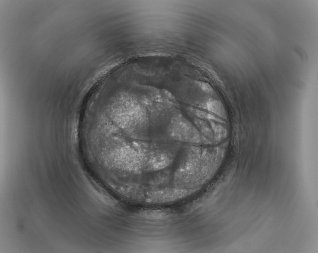 X0000113180299200910021548