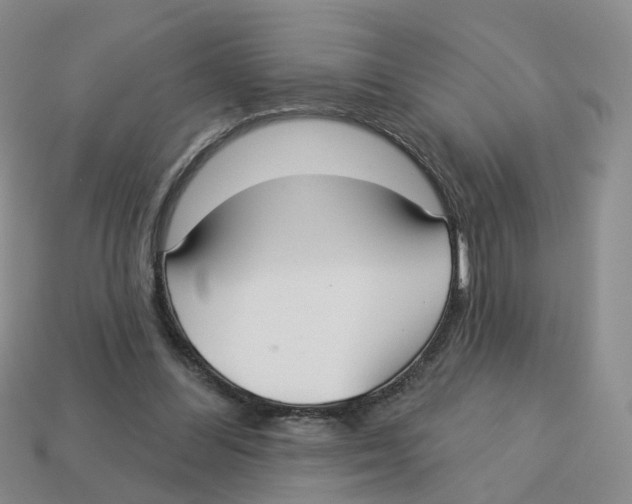 X0000113180300200910021548
