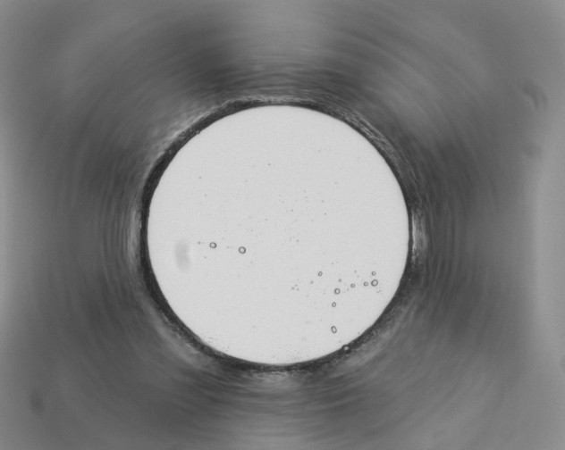X0000113180301200910021548
